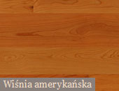 Wiśnia amerykańska